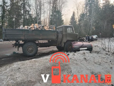 Полиция показала последствия смертельного ДТП в Ленобласти. «Лада» попала под грузовик с дровами