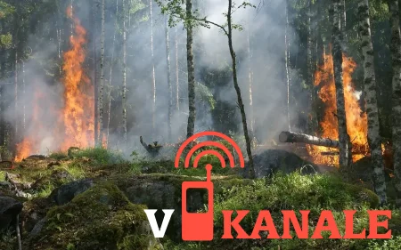Пожары в двух областях РК уничтожили 0,6% лесов страны