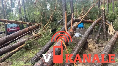 В Зельвенском районе поваленное ветром дерево убило женщину