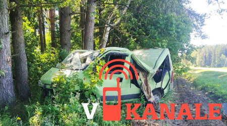 Могилёвская область: Легковушка в Шкловском районе врезалась в дерево: пострадал водитель