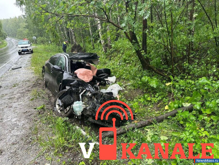 Челябинская область: Молодой водитель не справился с управлением и влетел в дерево