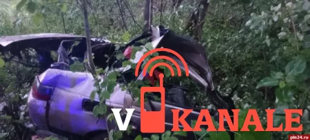 ДТП с погибшими под Псковом: ВАЗ разорвало от удара о дерево
