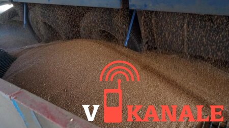 Три фуры с пшеницей не пустили в Павлодарскую область из России
