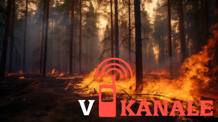 Алтайский край: Стало известно, сколько раз горел лес в Алтайском крае 3 июля