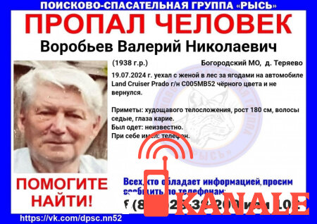 Валерий Воробьев: Супружеская пара нижегородцев пропала, уехав в лес за грибами