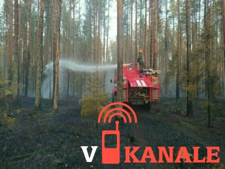 В Кировской области за сутки зарегистрированы 3 лесных пожара