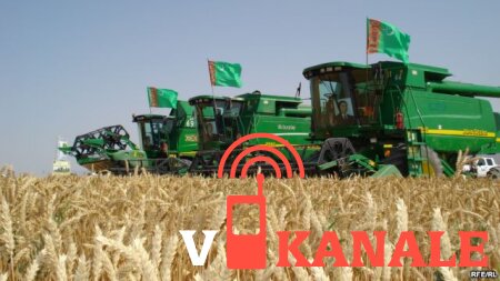 В Туркменистане водителей частных грузовиков принудительно привлекают к перевозке пшеницы